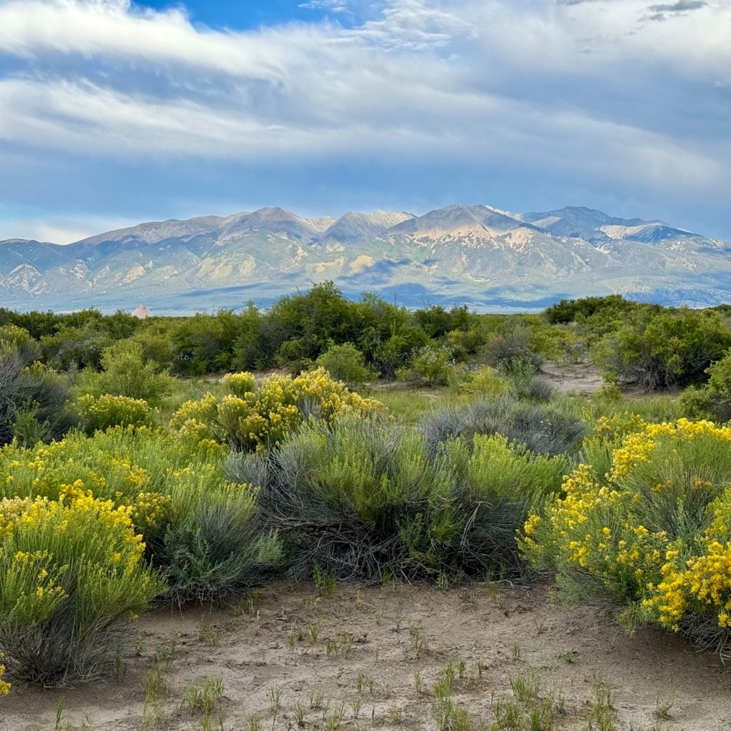 Photoroom_011_20250616_172207